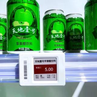 Montare șină E-DT02 pentru ESL