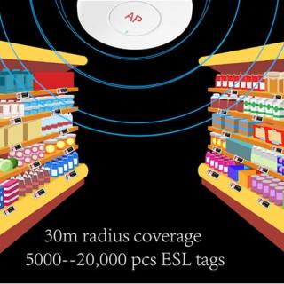Introducere soluție ESL