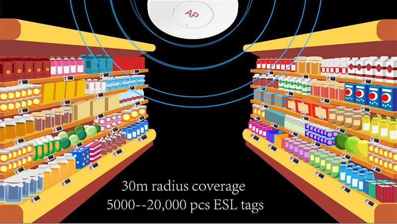 Introducere soluție ESL